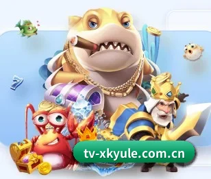 平台简介 - 体育资讯内容服务(xingkong.com)